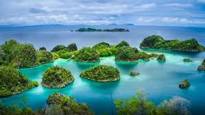 Makanan Khas Unik Rekomendasi Paket Wisata Raja Ampat