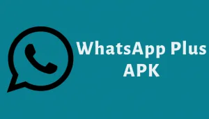 3 Fungsi Lain WhatsApp yang Tidak Banyak Orang Mengetahuinya 