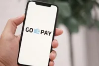 Gopay Paylater Bisa Digunakan Untuk Apa Saja 